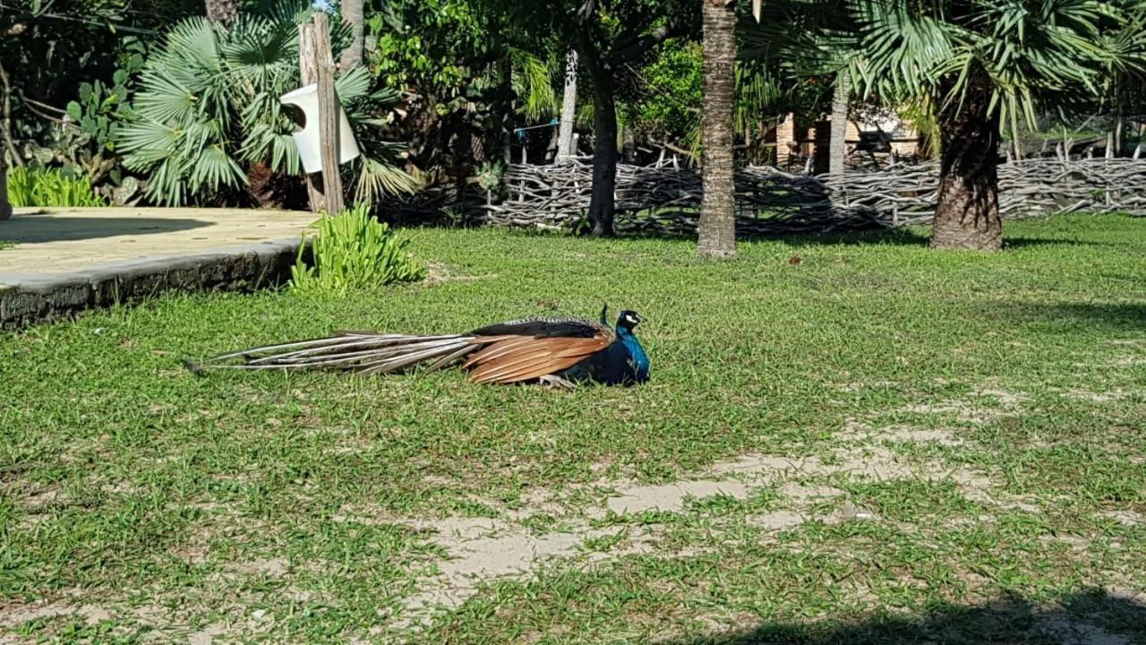 Rancho Do Buna バヘイリーニャス エクステリア 写真